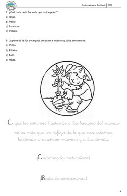 Profesora Lorena Sepúlveda 
2023 
 
4 
7. ¿Qué parte de la flor es la que recibe polen? 
a) Hojas. 
b) Pistilo. 
c) Estambre.