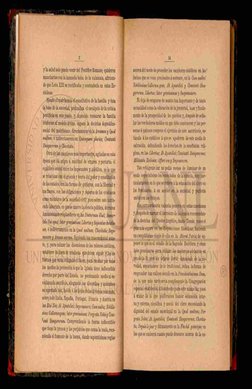 y la salud solo puede venir del Pontífice Romano; quisieron 
mancharlas con la inmunda baba de la calumnia, afirman-
do que L