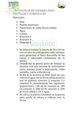PROTOCOLOS DE SIEMBRA PARA 
FRUTALES Y FORESTALES 
Materiales: 
• Pala 
• Bomba aspersora 
• Poliacrilato de sodio (lluvia