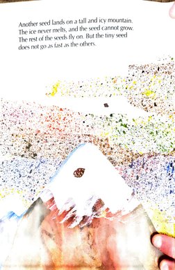 The Tiny Seed by Eric Carle | PDF | Flowers | Botany