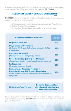 4
El presente documento y las Condiciones Generales contienen, en conjunto, los términos y 
condiciones del Plan de Seguro qu