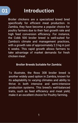 Broiler Farming Guide for Zambia | PDF | Broiler | Dietary Supplements