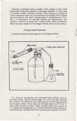 LSD Book | PDF