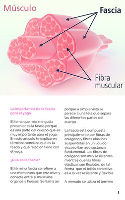 La importancia de la fascia
para el yoga 
El tema que más me gusta 
presentar es la fascia porque 
es una parte del cuerpo qu