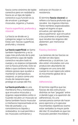 fascia como sinónimo de tejido 
conectivo pero en realidad la 
fascia es un tipo de tejido 
conectivo cuya función es la 
de