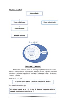 4 
 
 
Diagrama conceptual 
 
 
 
 
 
 
 
 
 
 
 
NÚMEROS NATURALES 
La noción de número es una de las más antiguas y