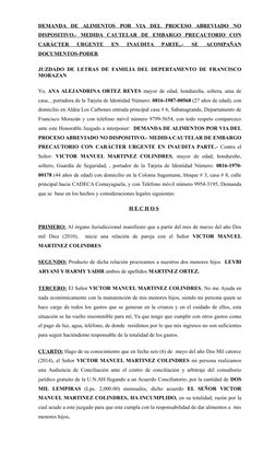 DEMANDA  DE  ALIMENTOS  POR  VIA  DEL  PROCESO  ABREVIADO  NO
DISPOSITIVO.-  
 
 MEDIDA  CAUTELAR  DE  EMBARGO  PRECAUTORIO