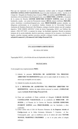 Para que me represente en las presentes diligencias  confiero poder al Abogado CARLOS
OLIVER CASTELLANOS VALLECILLO, mayor de