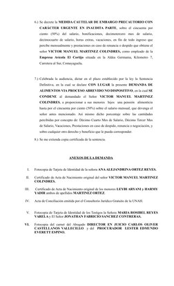6.) Se decrete la MEDIDA CAUTELAR DE EMBARGO PRECAUTORIO CON
CARÁCTER  URGENTE  EN  INAUDITA PARTE,  sobre  el  cincuenta  po