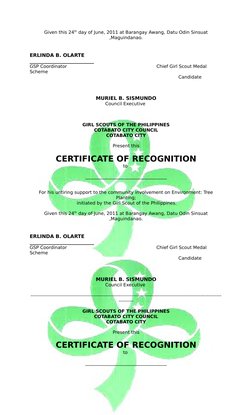 GSP Certificate of Recognition Template | PDF | Girl Guiding And Girl ...