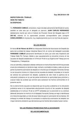 Exp: 005-2018-01-189 
INSPECTORIA DEL TRABAJO 
SEDE PIO TAMAYO 
SU DESPACHO. 
 
Yo, FERNANDO CAMEJO, venezolano, mayor de eda