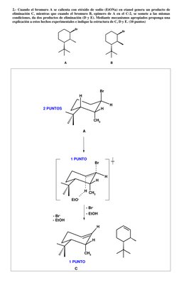 2.- Cuando el bromuro A se calienta con etóxido de sodio (EtONa) en etanol genera un producto de 
eliminación C, mientras q