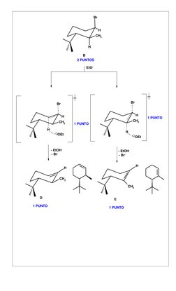 H
H
Br
CH3
 
H
H
Br
CH3
H
CH3
 
H
H
Br
CH3
H
CH3
EtO-
- EtOH
- Br-
B
1 PUNTO
1 PUNTO
1 PUNTO
1 PUNTO
2 PUNTOS
D
- OEt
E