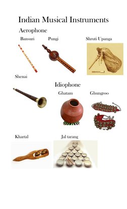 String Instruments India Indian String Instruments List With Pictures