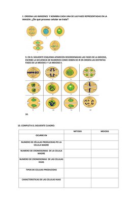 8. ORDENA LAS IMÁGENES  Y NOMBRA CADA UNA DE LAS FASES REPRESENTADAS EN LA 
IMAGEN: ¿De qué proceso celular se trata? 
 
9. E