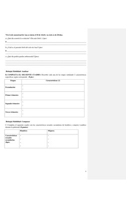 3 
 
*Si el ciclo menstrual de Ana se inicia el 10 de Abril y su ciclo es de 28 días. 
a) ¿Qué día ocurrirá la ovulación? (Di