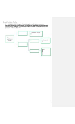 4 
 
 
Biología/ Habilidad: Clasificar   
IV. 
COMPLETACION:Completa el organizador gráfico con los siguientes conceptos: 
 (