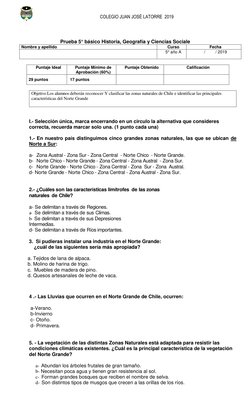 Prueba sobre el Norte Grande de Chile | PDF | Chile | Andes
