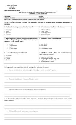 LICEO POLITÉCNICO                                                 
 
 
 
 
                  AMÉRICA