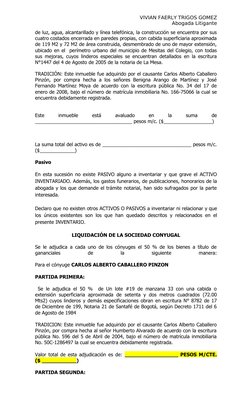 VIVIAN FAERLY TRIGOS GOMEZ
Abogada Litigante
de luz, agua, alcantarillado y línea telefónica, la construcción se encuentra po