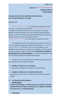 Amparo Indirecto contra Orden de Aprehensión | PDF | Violación | Ciudad ...
