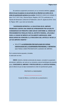 Amparo Indirecto contra Orden de Aprehensión | PDF | Violación | Ciudad ...