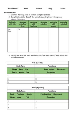 Whale shark              snail                  rooster              frog                   snake     
III. Procedures
1.