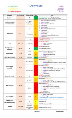 A - Low Priority 
LAB VALUES 
1. HOLD 
B - Watch Closely 
 
2. ASSESS 
C – Critical 
 
3. PREPARE 
D - Deadly Dangerous 
 
4.