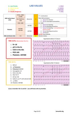 A - Low Priority 
LAB VALUES 
1. HOLD 
B - Watch Closely 
 
2. ASSESS 
C – Critical 
 
3. PREPARE 
D - Deadly Dangerous 
 
4.