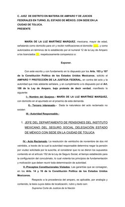 Amparo por Negativa de Pensión IMSS | PDF | Caso de ley | Debido al proceso