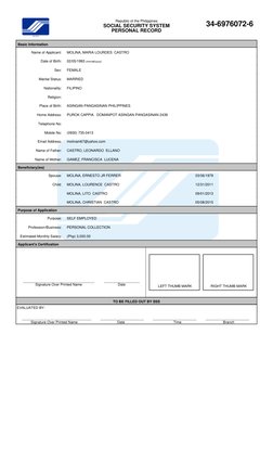 SSS Static Information Form Sample | PDF