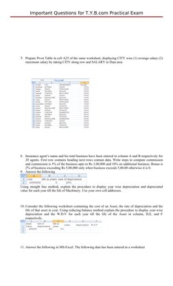 Important Questions for T.Y.B.com Practical Exam
7. Prepare Pivot Table in cell A25 of the same worksheet, displaying CITY wi