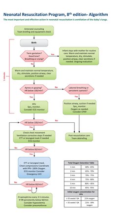 NRP 8th Edition Resuscitation Algorithm | PDF | Cardiopulmonary ...