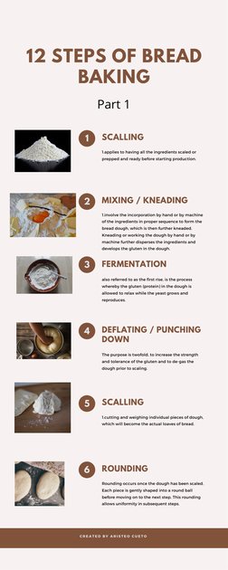 12 Steps of Bread Baking Process | PDF | Dough | Breads